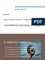 El Derecho Ambiental