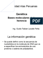 Genetica - Bases Moleculares de La Herencia