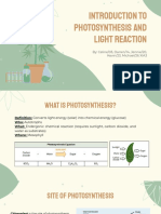 Introduction To Photosynthesis