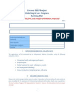 Business Plan TEMPLATE 2