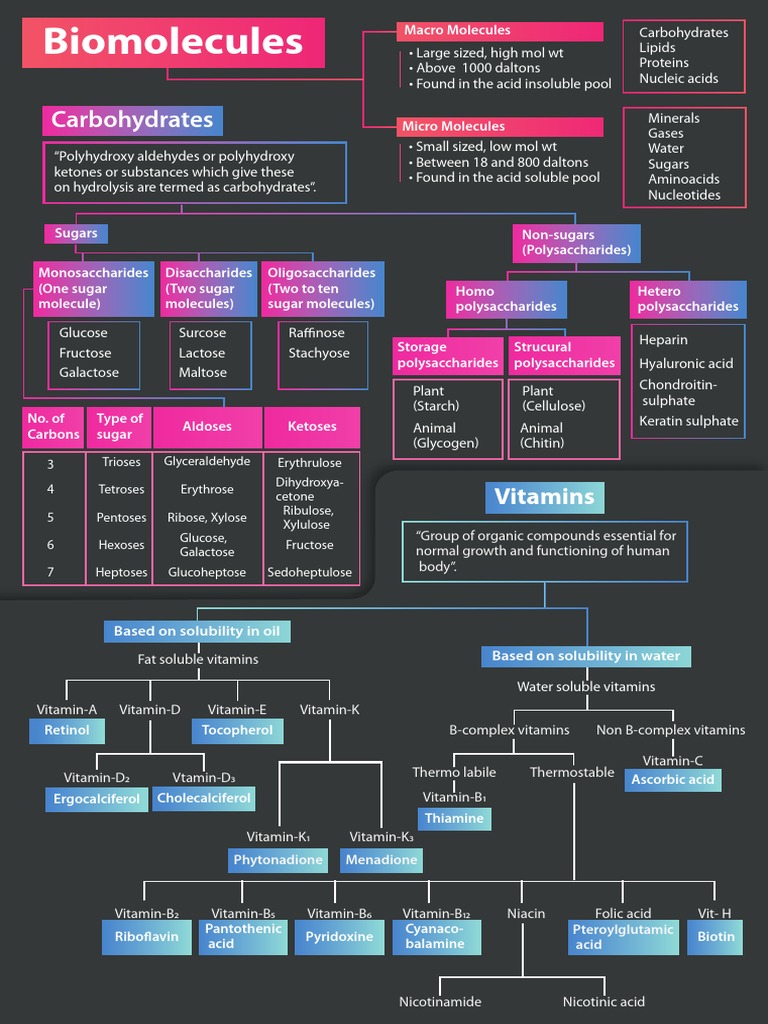 Biomolecules Classification Overview | PDF | Carbohydrates | Polysaccharide
