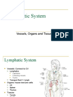 Lymphatic System: Vessels, Organs and Tissues