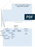 Mapa Conceptual de La Adquisión de HHSS