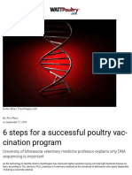 6 steps for a successful poultry vaccination program _ WATTAgNet