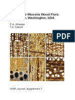 IAWA J. Suppl.7. Miocene Wood Flora Vantage