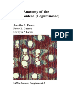 Wood anatomy of the Mimosoideae subfamily