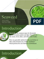 Seaweeds