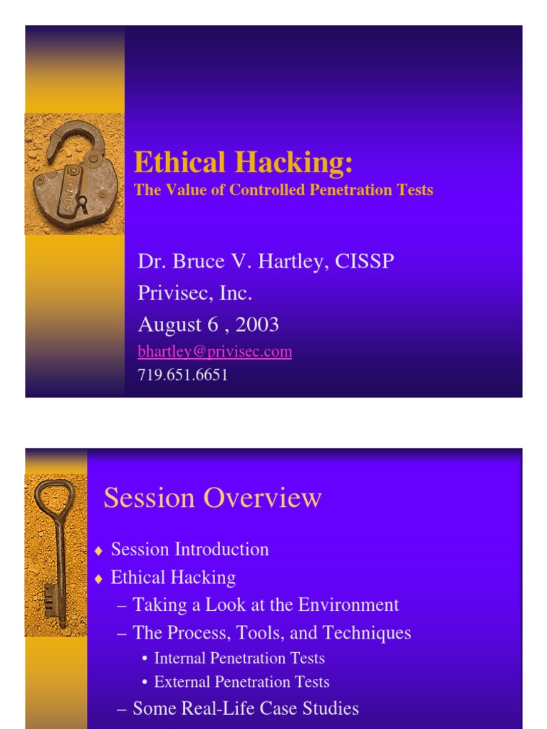 WM4 | PDF | Penetration Test | Vulnerability (Computing)