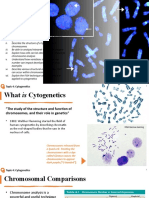 101-DDM-05 - Topic 4 - Cytogenetics