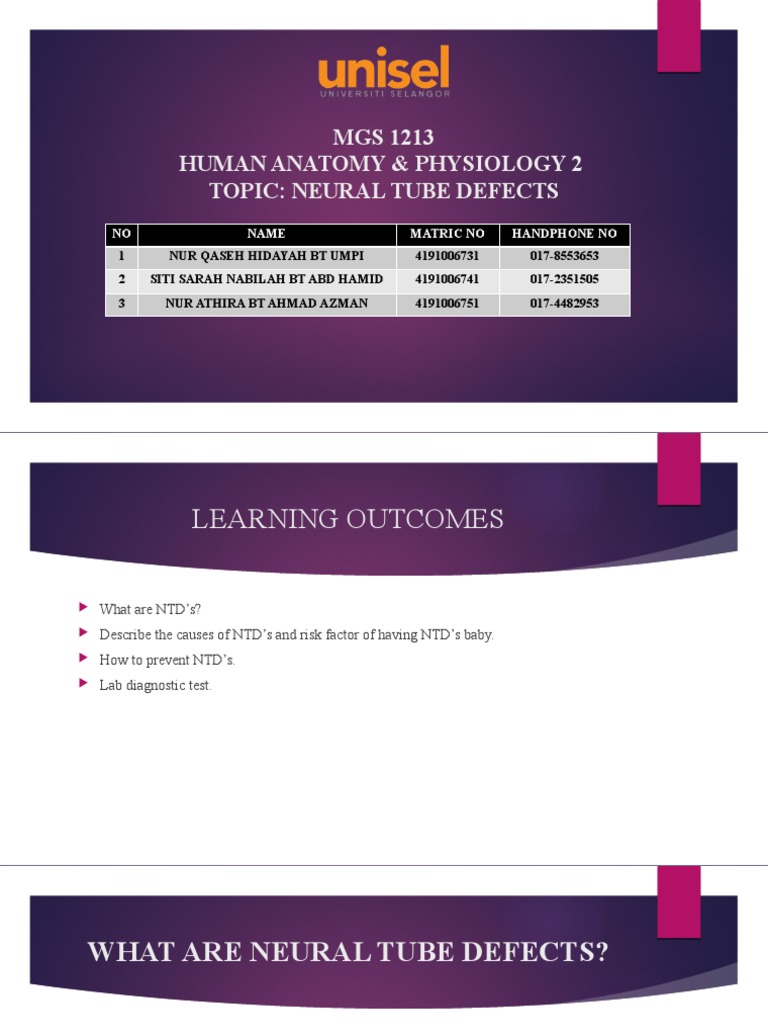 Neural Tube Defects (Anatomy) | PDF | Medical Specialties | Clinical ...