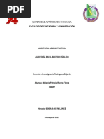 Auditoría en el Sector Público
