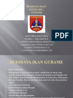 Budidaya Ikan Gurami