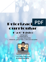 priorizaci√≥ncurricular