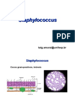 Microbio Staphylococcus Pseudomonas 2008 Tania1