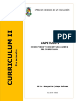 CAPITULO II. Conceptualizacion Del Curriculum