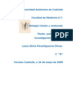 Investigación PCR