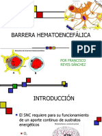 Barrera hematoencefálica y sus funciones en el sistema nervioso central