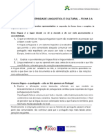 Diversidade Linguística e Cultural - Ficha 3 A