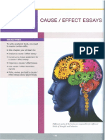 Cause Effect Essay