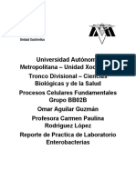 Reporte Practica Lab PCF