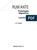 El Rumiante