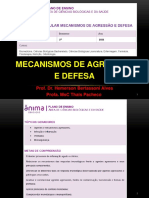 Introdução Aos Mecanismos de Defesa