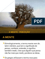 5.1.mente Perceção