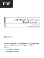 Rida Banff Classification