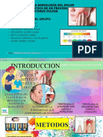 Semana 2 Endodoncia