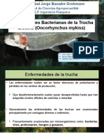 Enfermedades Bacteriana de La Trucha Arcoíris JD