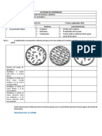 Propiedades de Los Gases, Guía de Aprendizaje