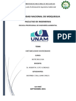 Metabolismo Microbacteriano - Juan Bustinza Coila