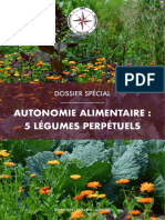 Apprendre Preparer Survivre Autonomie Alimentaire 5 Legumes Perpetuels