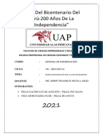 Informe Sobre El Sistema Desarrolado y La Empresa - Sistema de Información Vii Ciclo