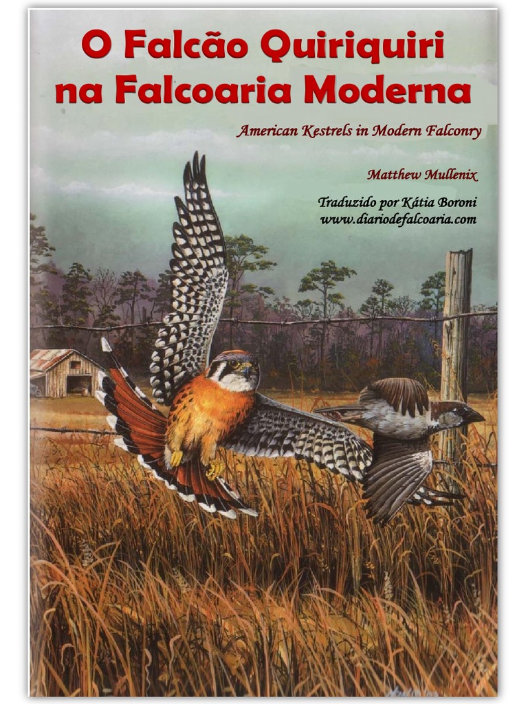 Cobi Armed Forces 5914 F-16D Fighting Falc 5914 | BRICKMO.com - Loja Online  de LEGO e Blocos de Pinos, image size:768x1024