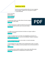 GUIA PRIMER PARCIAL PATO