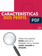 Caracteristicas Perfil