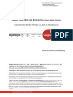 Ateles Hybridus Ssp. Brunneus,: Assessment By: Morales-Jiménez, A.L., Link, A. & Stevenson, P