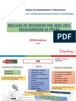Tipologia PIP p-5OPPMI - Presentacion - de - Los - Indicadores - de - Brechas - Del - Sector - y - PMI - Sectorial