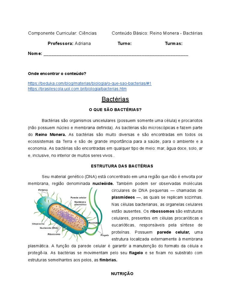 Bactérias - Reino Monera | PDF | Célula (Biologia) | Bactérias