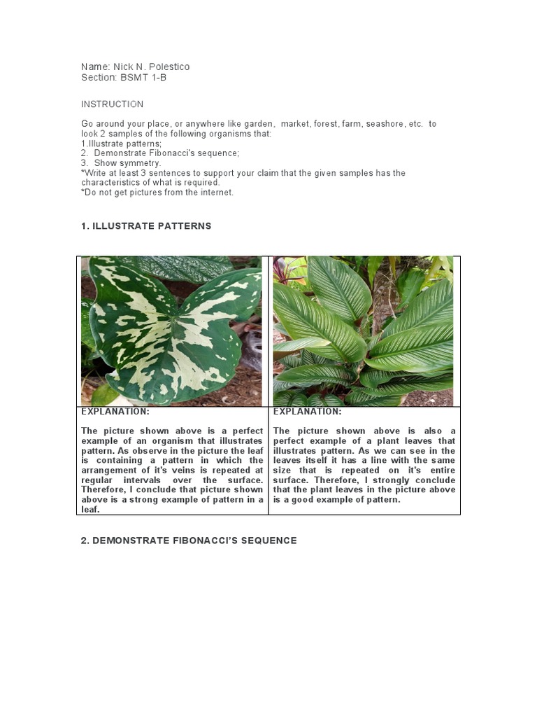 Patterns in Nature: Math Examples | PDF | Leaf | Pattern