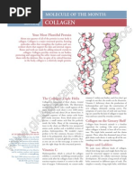 Download Collagen by fresh_aster SN52818546 doc pdf