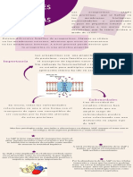 Aplicaciones Medicas Acuaporinas (1)