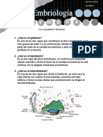Embriologia 2 Semana.