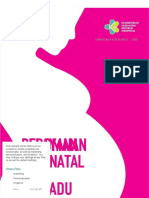 PDF Pelayanan Antenatal Terpadu Edisi Ke 3 111120 Compress