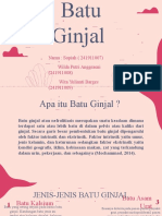 Batu Ginjal Patopsiologi