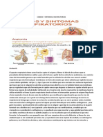 10 Sintomas y Signos Respiratorios