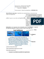 Actividades Aprende en Casa Del 25 Al 29 de Mayo