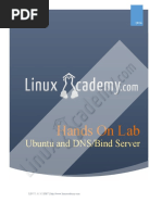 Ubuntu and DNS/Bind Server: Hands On Lab