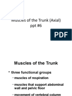 Muscles of The Trunk (Axial) PPT #6